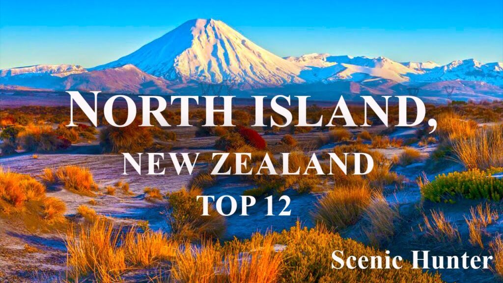 New Zealand Travel