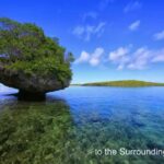 Tonga Travel