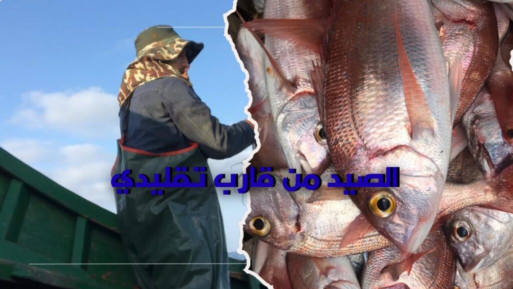 morocco travel