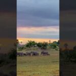 botswana travel