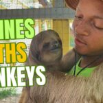 Honduras Travel