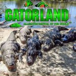 Gatorland
