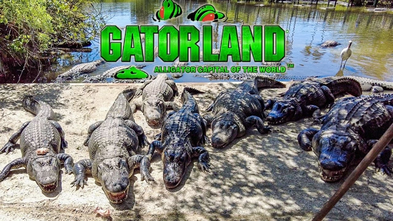 Gatorland