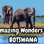 botswana travel