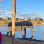 botswana travel