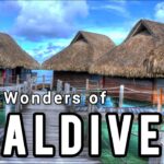 maldives travel guide
