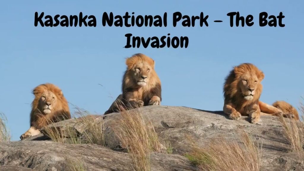 Zambia Travel