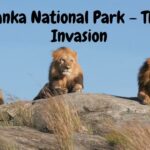 Zambia Travel