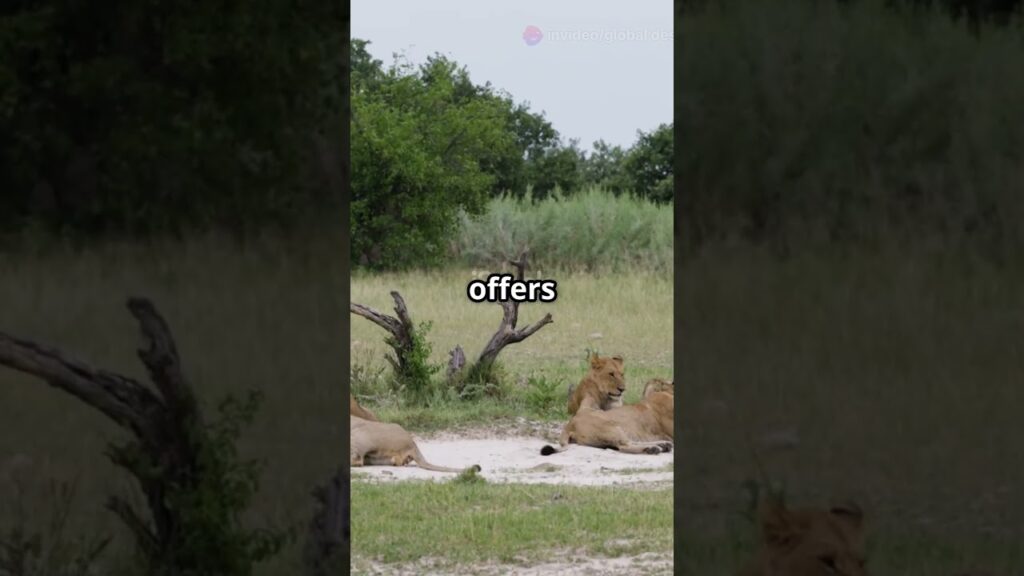 botswana travel